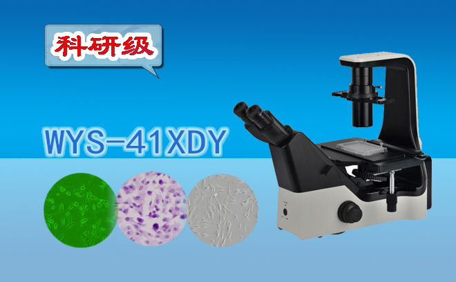倒置熒光草莓视频黄色下载.jpg
