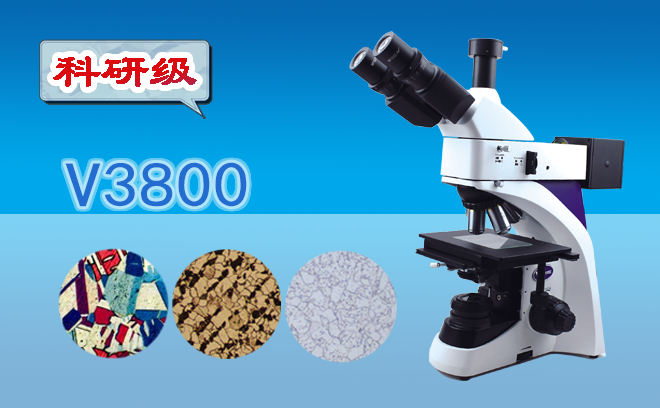 今日好用的草莓视频黄色下载分享之體視草莓视频黄色下载
