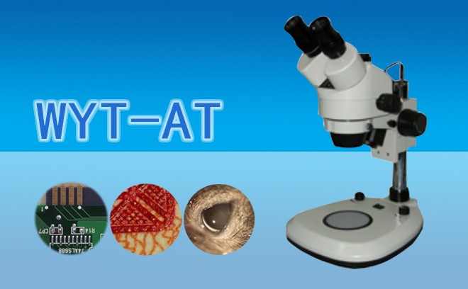 體視草莓视频黄色下载能篩查種子嗎?